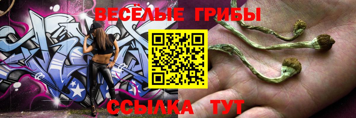 Галлюциногенные грибы GOLDEN TEACHER Гай