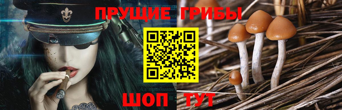 Псилоцибиновые грибы Magic Shrooms  Вход с VPN  Гай 